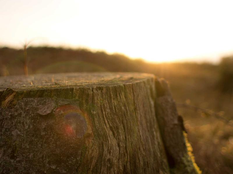 sudoku landscape mode screenshot 6